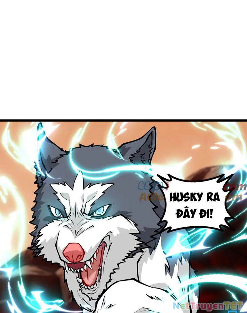 Slime ta treo cự long lên đánh là hợp lý nhỉ? Chapter 258 - 13