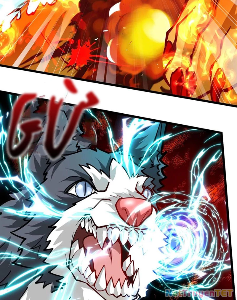 Slime ta treo cự long lên đánh là hợp lý nhỉ? Chapter 259 - 4