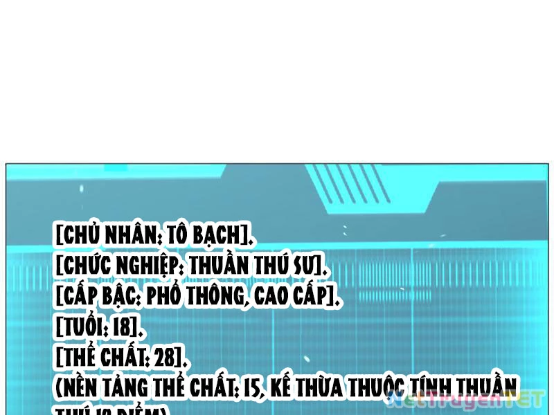 Vạn Tộc Xâm Lược :Mở Đầu Thuần Hóa Cự Thú Cấp Sử Thi Chapter 4 - Trang 2
