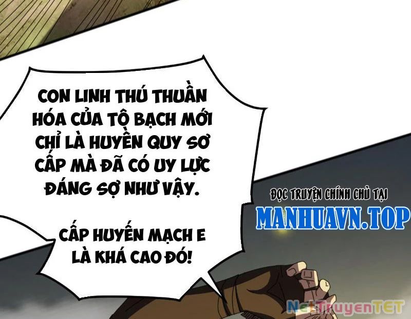 Vạn Tộc Xâm Lược :Mở Đầu Thuần Hóa Cự Thú Cấp Sử Thi Chapter 7 - Trang 2