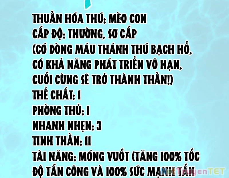 Vạn Tộc Xâm Lược :Mở Đầu Thuần Hóa Cự Thú Cấp Sử Thi Chapter 8 - Trang 2