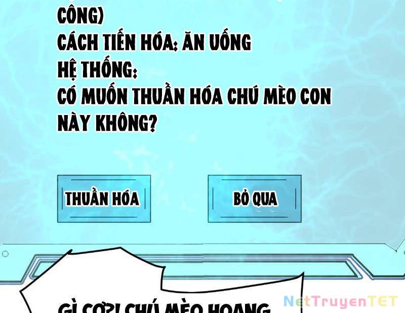 Vạn Tộc Xâm Lược :Mở Đầu Thuần Hóa Cự Thú Cấp Sử Thi Chapter 8 - Trang 2
