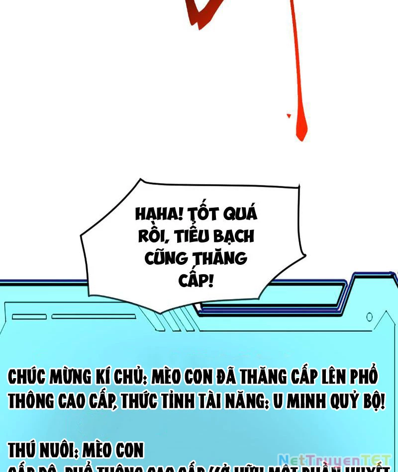 Vạn Tộc Xâm Lược :Mở Đầu Thuần Hóa Cự Thú Cấp Sử Thi Chapter 9 - Trang 2