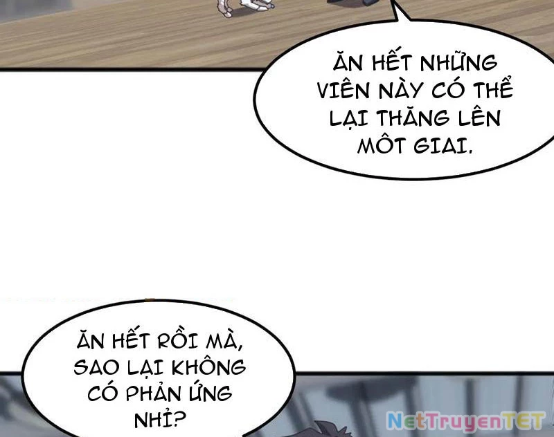 Vạn Tộc Xâm Lược :Mở Đầu Thuần Hóa Cự Thú Cấp Sử Thi Chapter 13 - Trang 2
