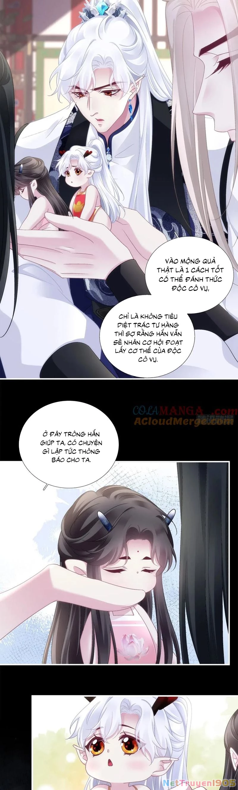 Hắc Hóa Đại Lão Thuần Dưỡng Chỉ Nam Chapter 169 - 7