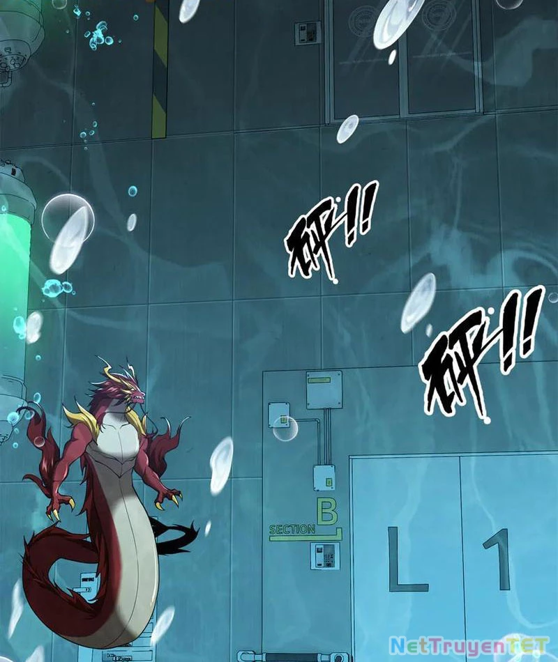 Linh Khí Khôi Phục: Từ Cá Chép Tiến Hóa Thành Thần Long Chapter 42 - 4