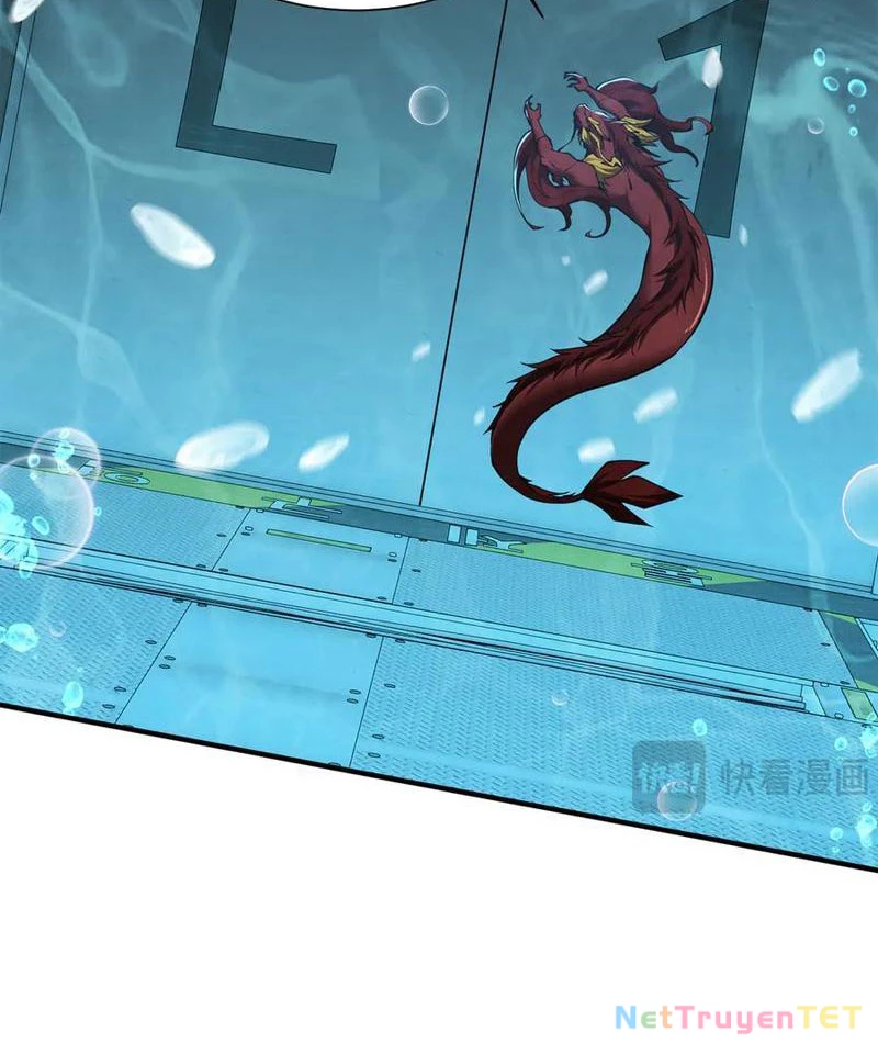 Linh Khí Khôi Phục: Từ Cá Chép Tiến Hóa Thành Thần Long Chapter 42 - 8