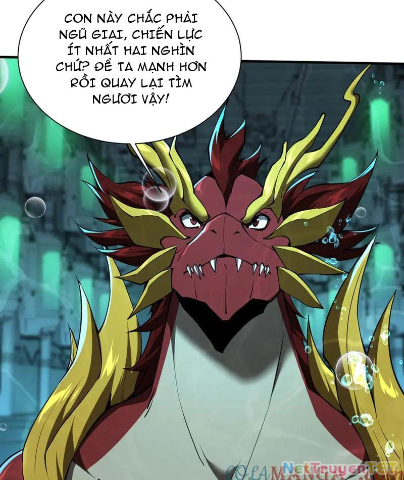 Linh Khí Khôi Phục: Từ Cá Chép Tiến Hóa Thành Thần Long Chapter 42 - 21
