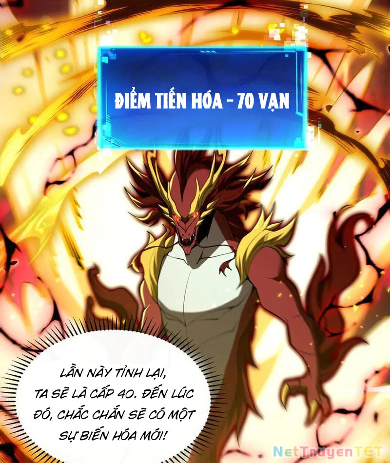 Linh Khí Khôi Phục: Từ Cá Chép Tiến Hóa Thành Thần Long Chapter 42 - 29