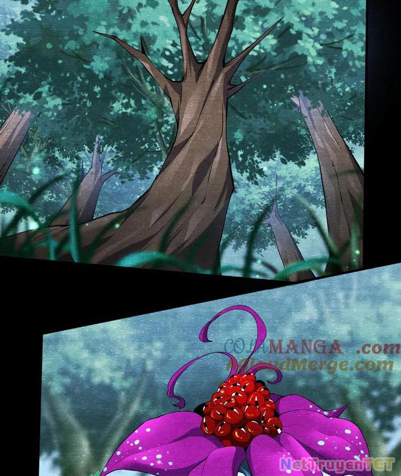 Linh Khí Khôi Phục: Từ Cá Chép Tiến Hóa Thành Thần Long Chapter 42 - 37