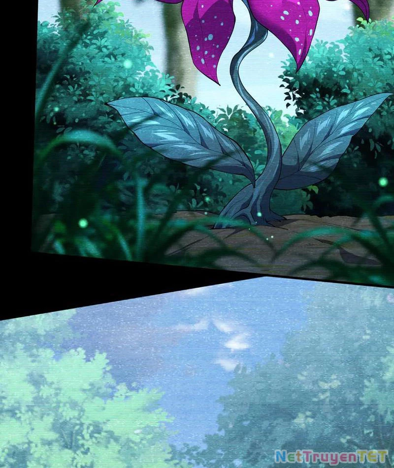 Linh Khí Khôi Phục: Từ Cá Chép Tiến Hóa Thành Thần Long Chapter 42 - 38