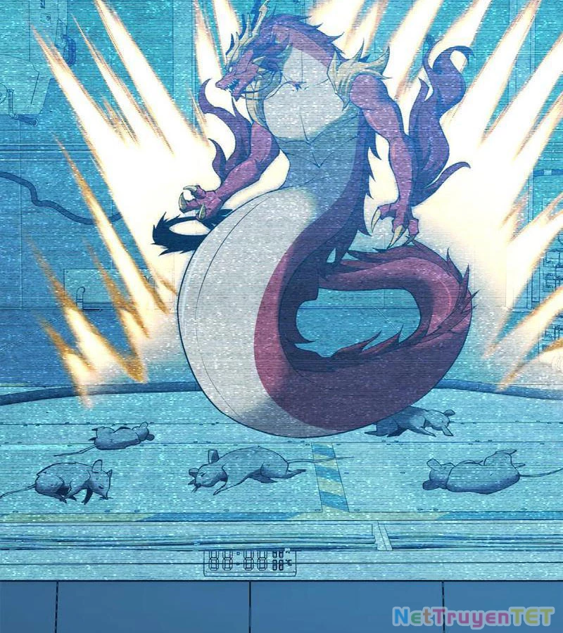 Linh Khí Khôi Phục: Từ Cá Chép Tiến Hóa Thành Thần Long Chapter 42 - 54