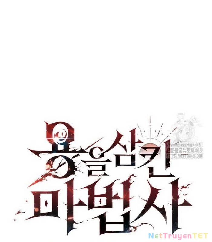 Thực Long Ma Pháp Sư Chapter 93 - 21