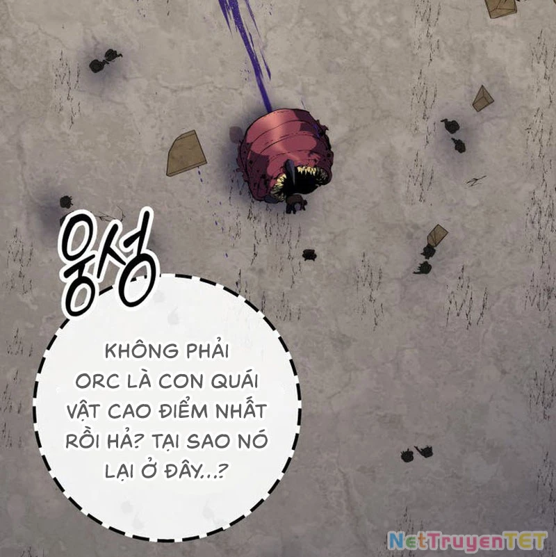 Sát Long Nhân Hồi Quy Siêu Việt Chapter 25 - 37