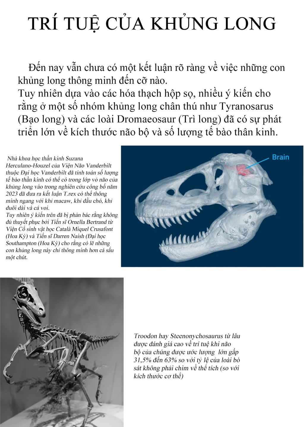 Khu bảo tồn khủng long Chapter 9 - 33