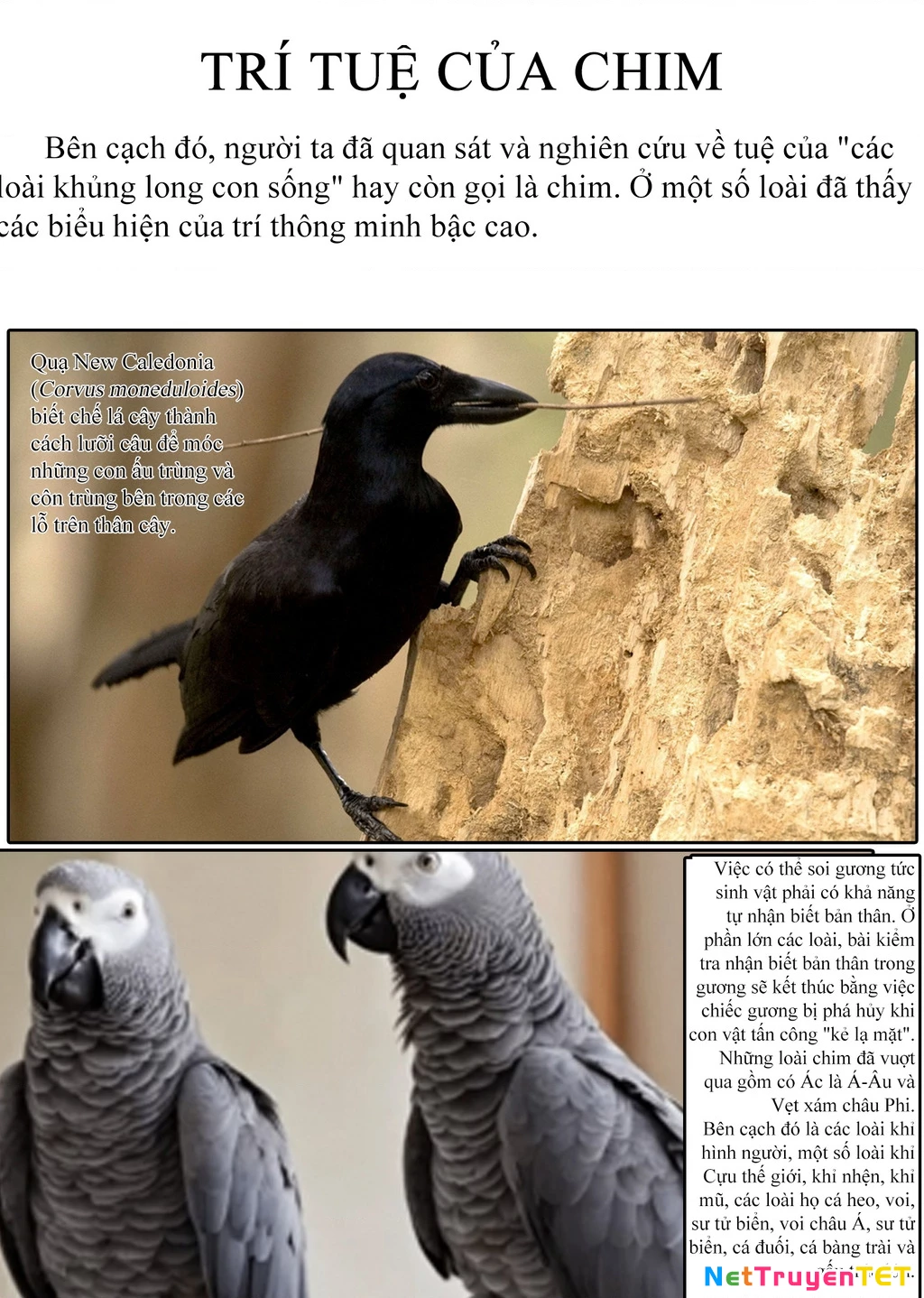 Khu bảo tồn khủng long Chapter 9 - 34