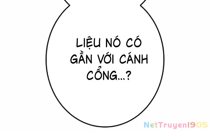 Huyết Thánh Cứu Thế Chủ~ Ta Chỉ Cần 0.0000001% Đã Trở Thành Vô Địch Chapter 114 - 465