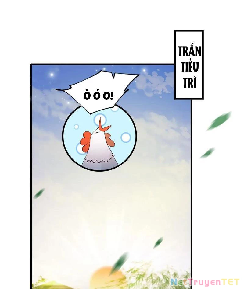 Hoá Ra Ta Đã Vô Địch Từ Lâu Chapter 248 - 5