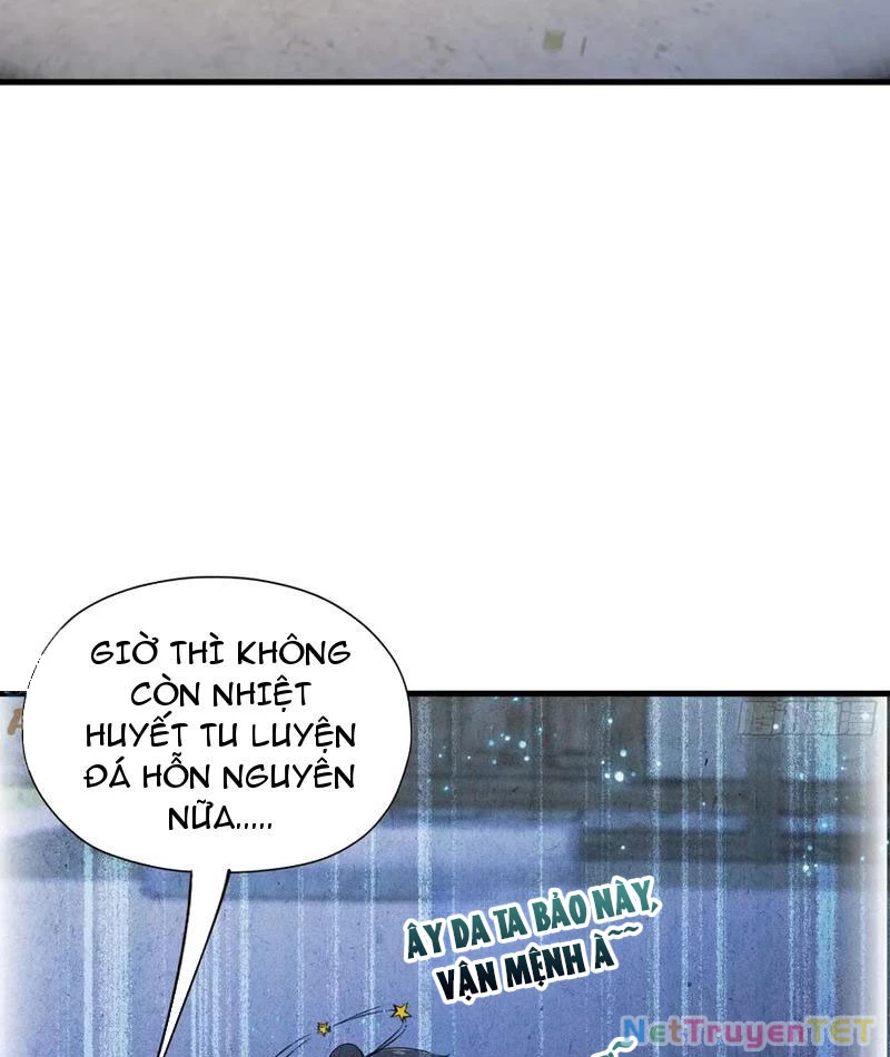 Hoá Ra Ta Đã Vô Địch Từ Lâu Chapter 248 - 9