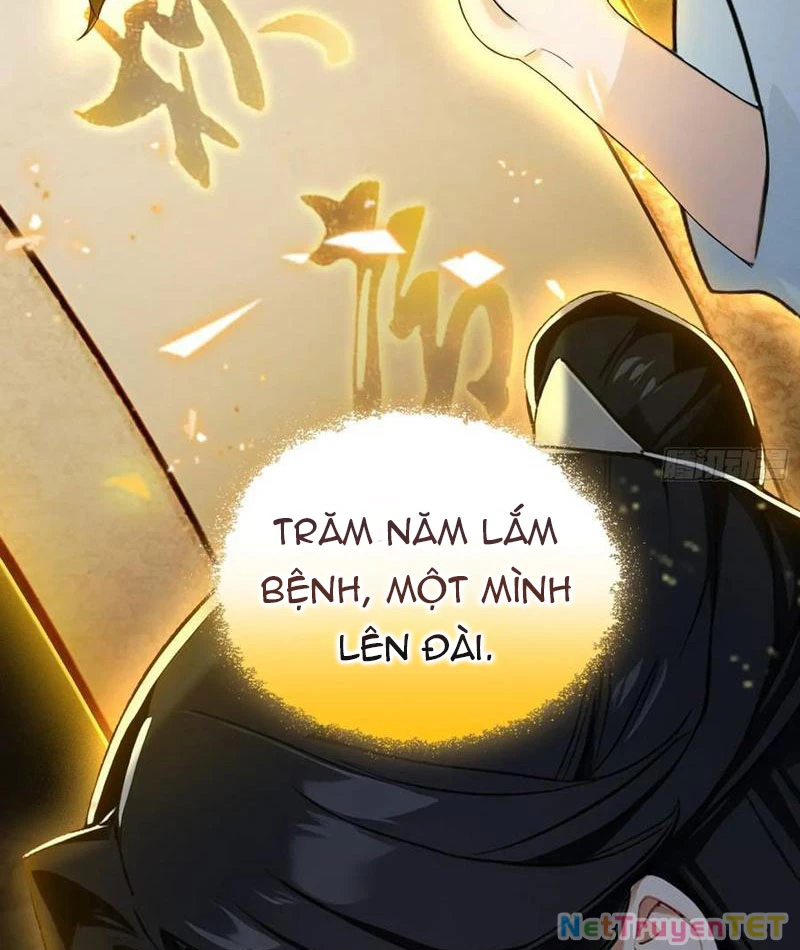 Hoá Ra Ta Đã Vô Địch Từ Lâu Chapter 248 - 14