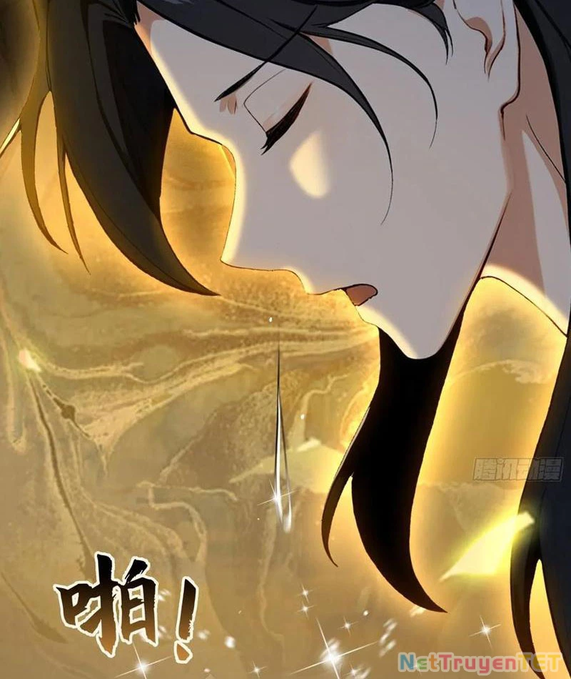 Hoá Ra Ta Đã Vô Địch Từ Lâu Chapter 248 - 15