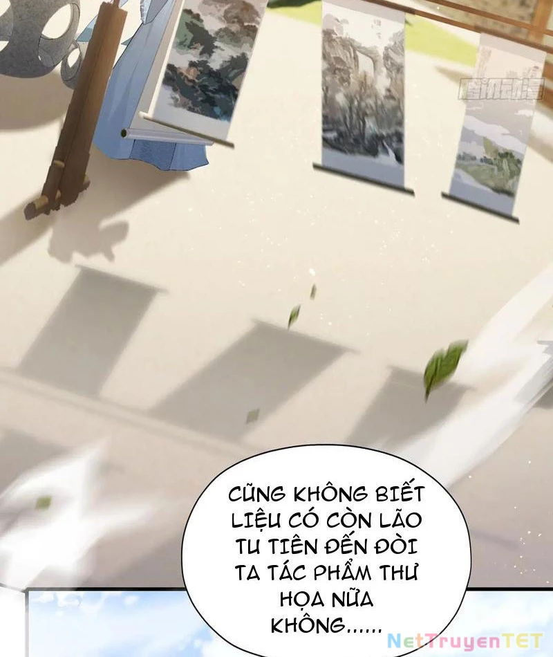 Hoá Ra Ta Đã Vô Địch Từ Lâu Chapter 248 - 19