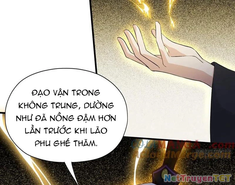 Hoá Ra Ta Đã Vô Địch Từ Lâu Chapter 248 - 27