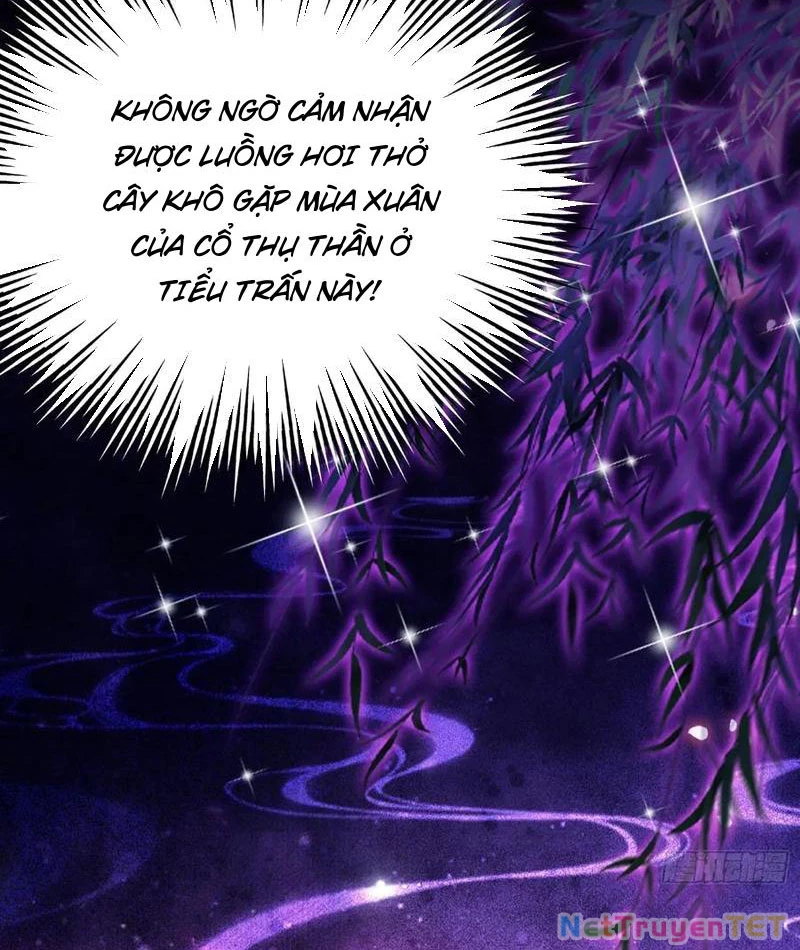 Hoá Ra Ta Đã Vô Địch Từ Lâu Chapter 248 - 70