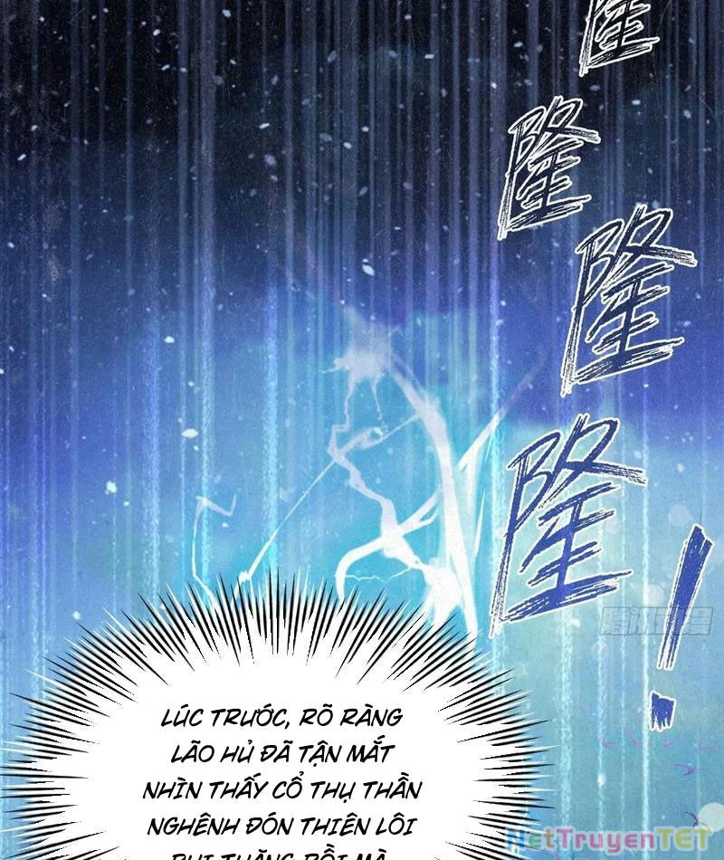 Hoá Ra Ta Đã Vô Địch Từ Lâu Chapter 248 - 75