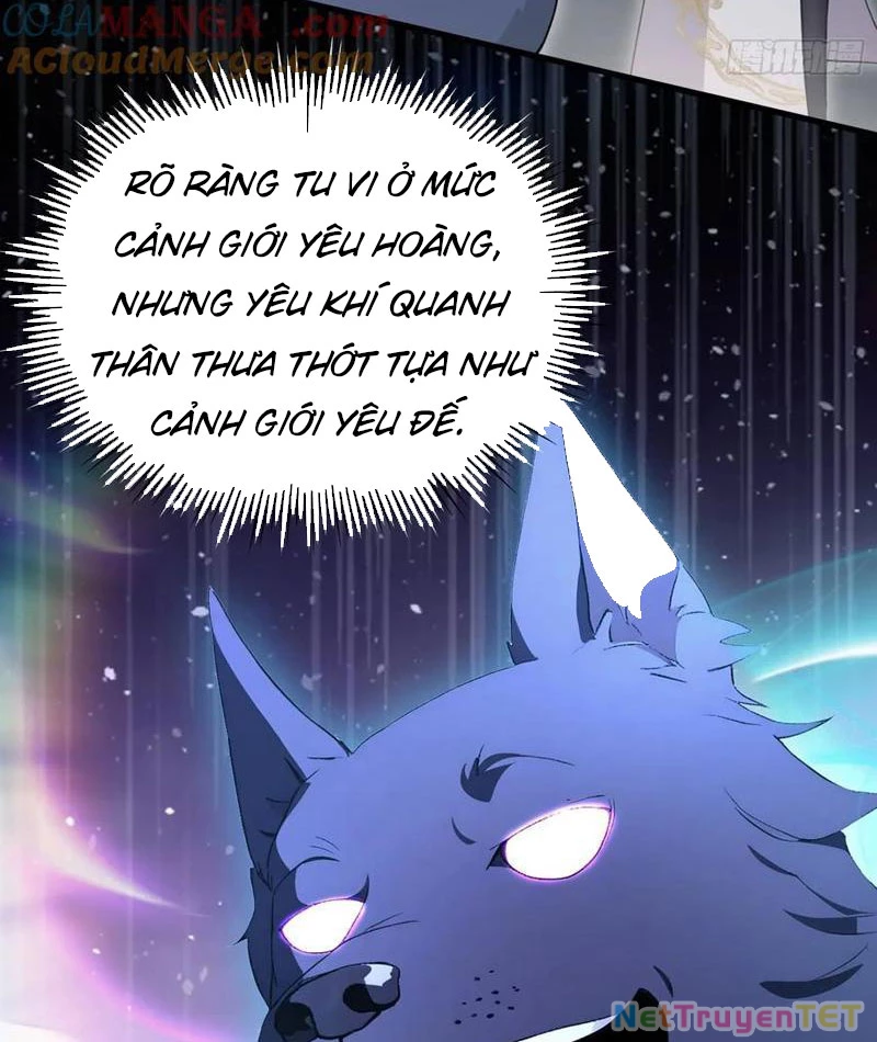 Hoá Ra Ta Đã Vô Địch Từ Lâu Chapter 248 - 85