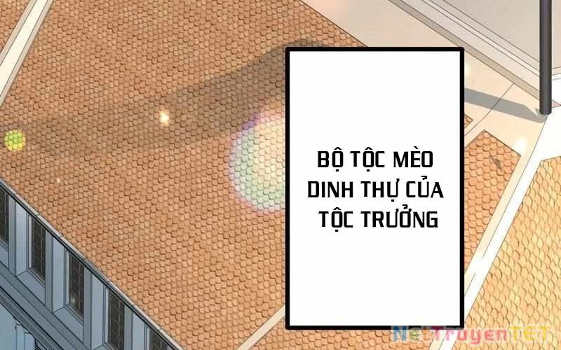 Sát Thủ Mạnh Nhất Chuyển Sinh Sang Thế Giới Khác Chapter 66 - 4