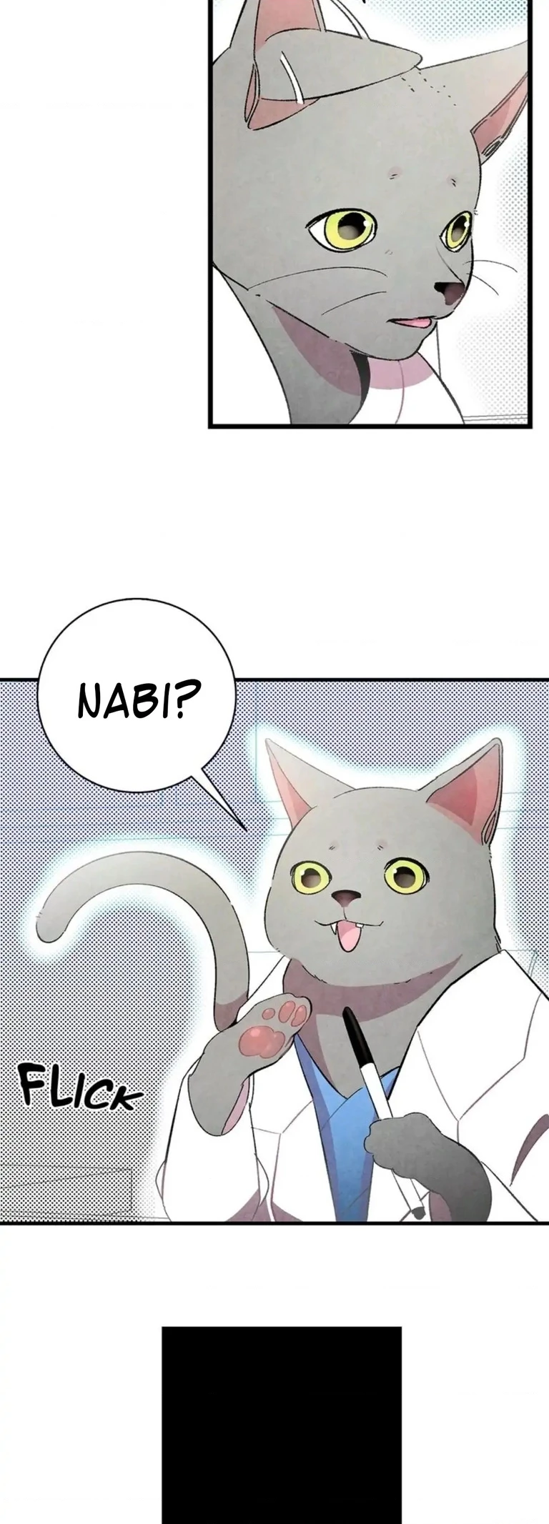 Mèo con của skelly Chapter 8 - 28