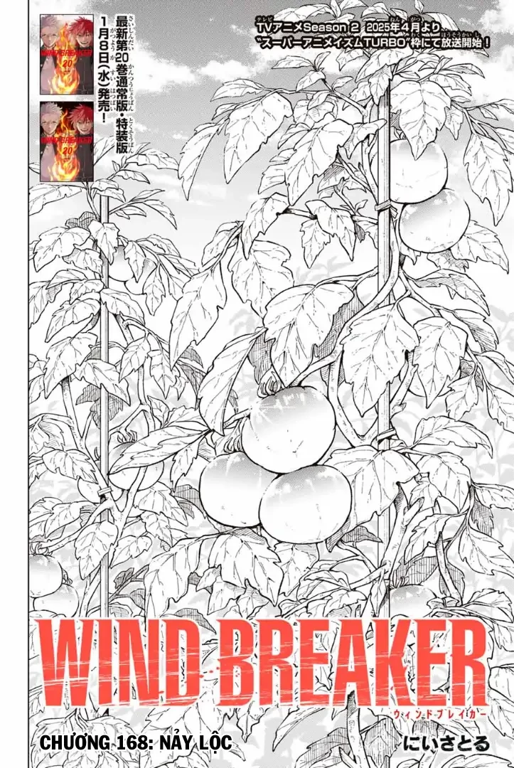 Wind Breaker (Nii Satoru) Chapter 168 - 3