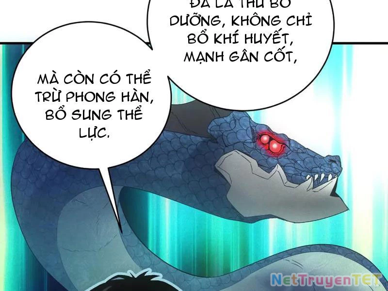 Ta Bán Hàng Vỉa Hè Ở Mạt Thế Chapter 32 - 53