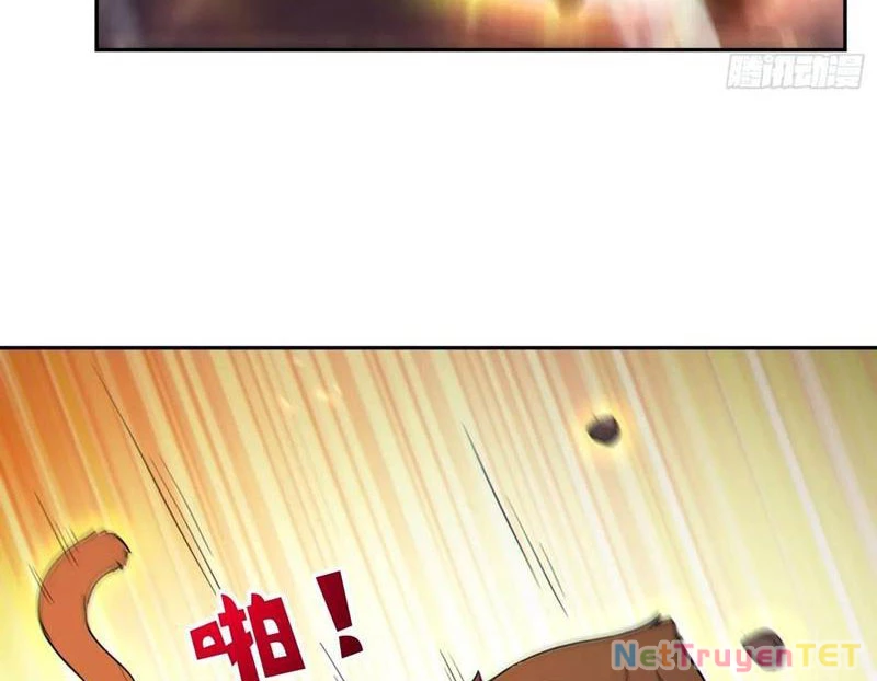 Ta thật sự không muốn làm thánh tiên Chapter 100 - 3