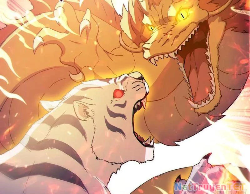 Ta thật sự không muốn làm thánh tiên Chapter 100 - 9