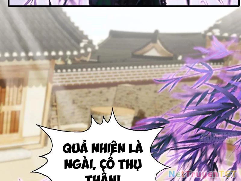 Hoá Ra Ta Đã Vô Địch Từ Lâu Chapter 250 - 77