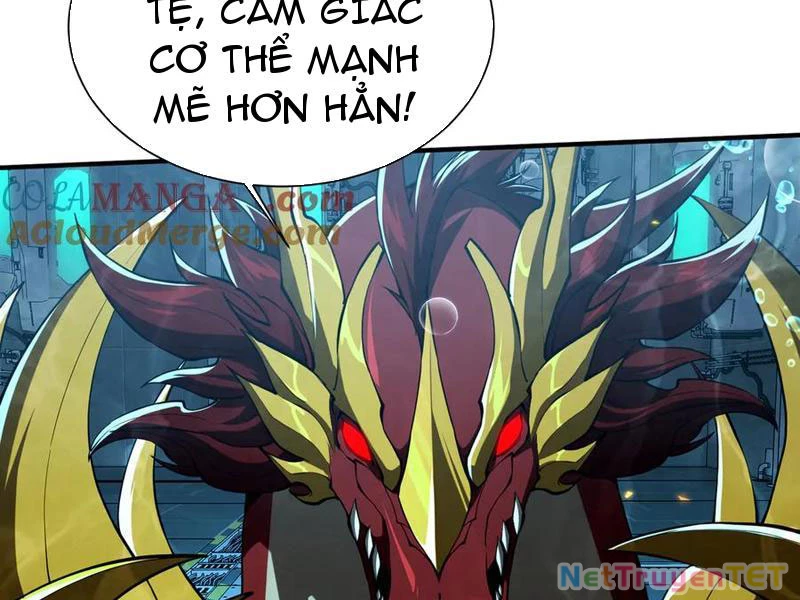Linh Khí Khôi Phục: Từ Cá Chép Tiến Hóa Thành Thần Long Chapter 43 - 63