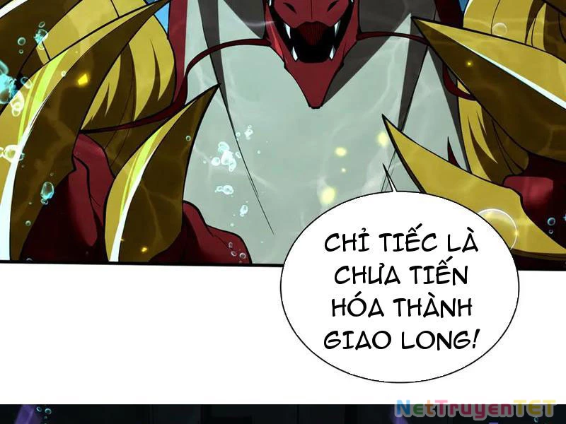 Linh Khí Khôi Phục: Từ Cá Chép Tiến Hóa Thành Thần Long Chapter 43 - 64