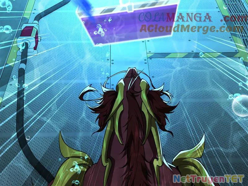Linh Khí Khôi Phục: Từ Cá Chép Tiến Hóa Thành Thần Long Chapter 43 - 71