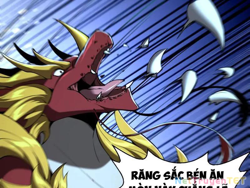 Linh Khí Khôi Phục: Từ Cá Chép Tiến Hóa Thành Thần Long Chapter 43 - 85