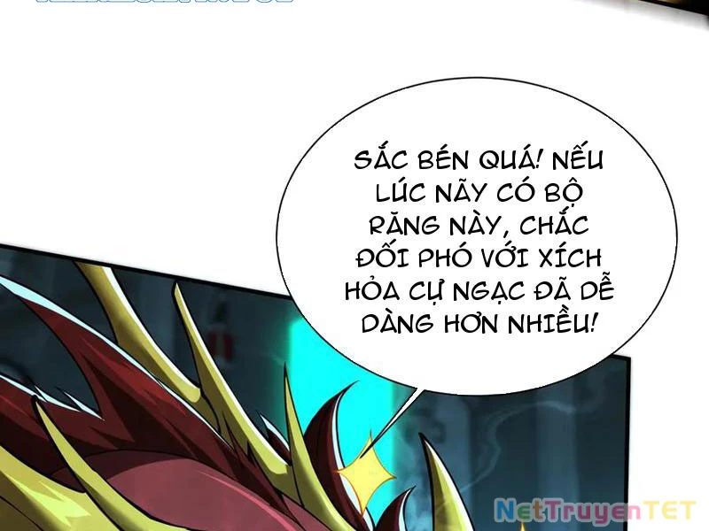 Linh Khí Khôi Phục: Từ Cá Chép Tiến Hóa Thành Thần Long Chapter 43 - 92