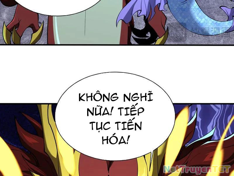 Linh Khí Khôi Phục: Từ Cá Chép Tiến Hóa Thành Thần Long Chapter 43 - 97