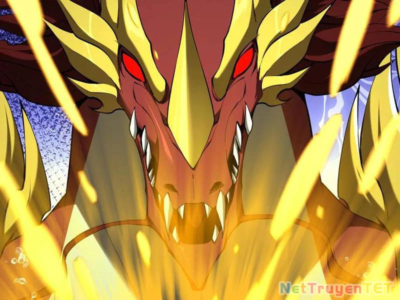 Linh Khí Khôi Phục: Từ Cá Chép Tiến Hóa Thành Thần Long Chapter 43 - 98