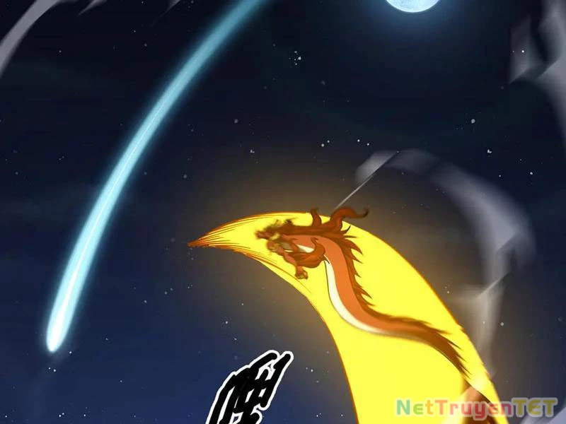 Linh Khí Khôi Phục: Từ Cá Chép Tiến Hóa Thành Thần Long Chapter 43 - 134