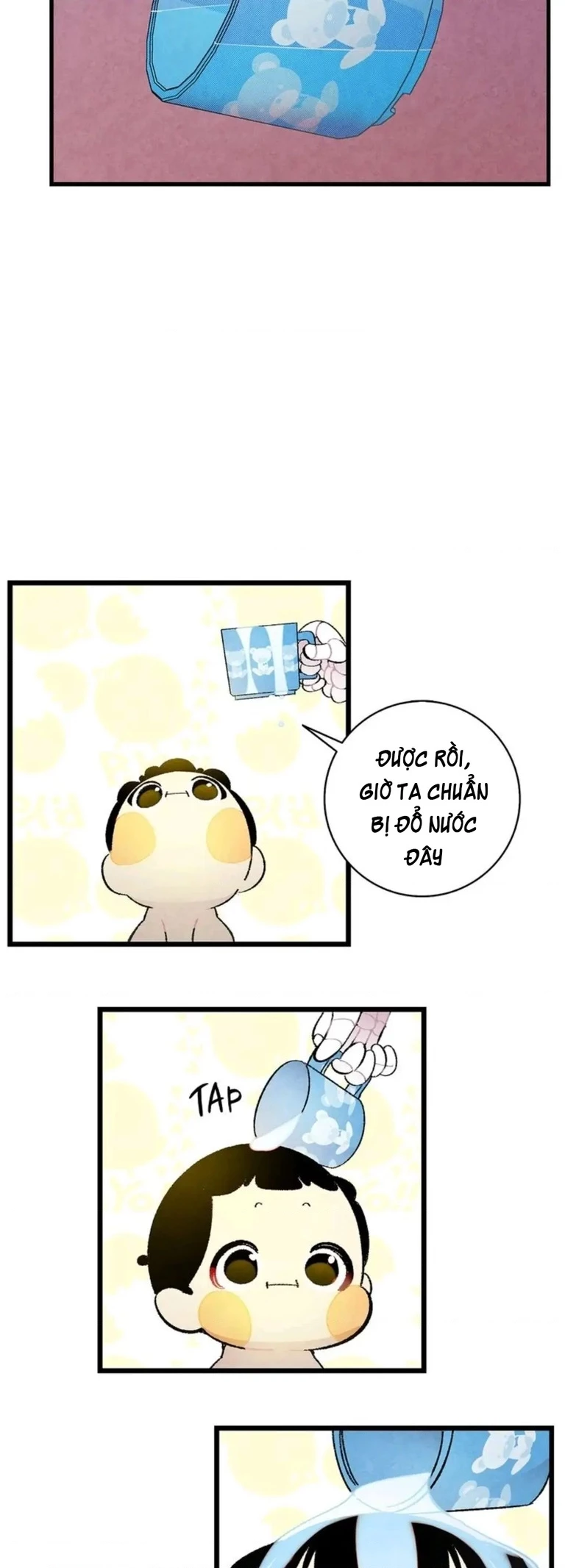 Mèo con của skelly Chapter 10 - 5