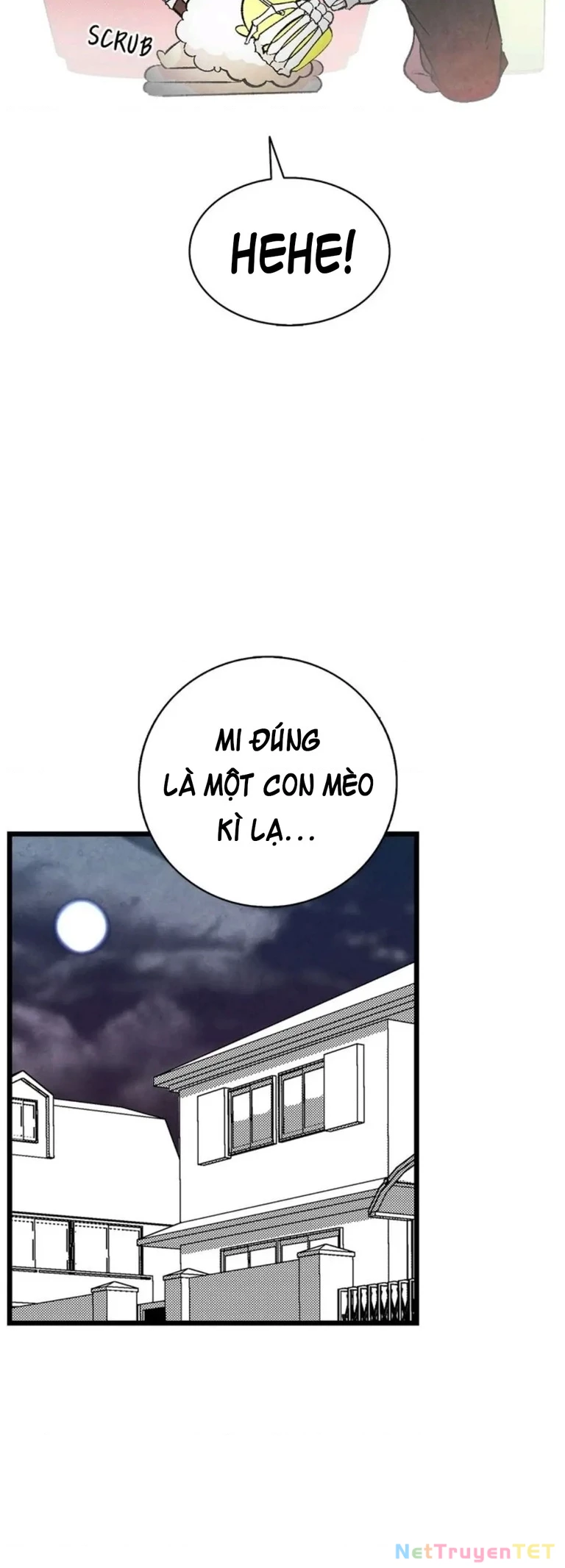 Mèo con của skelly Chapter 10 - 10
