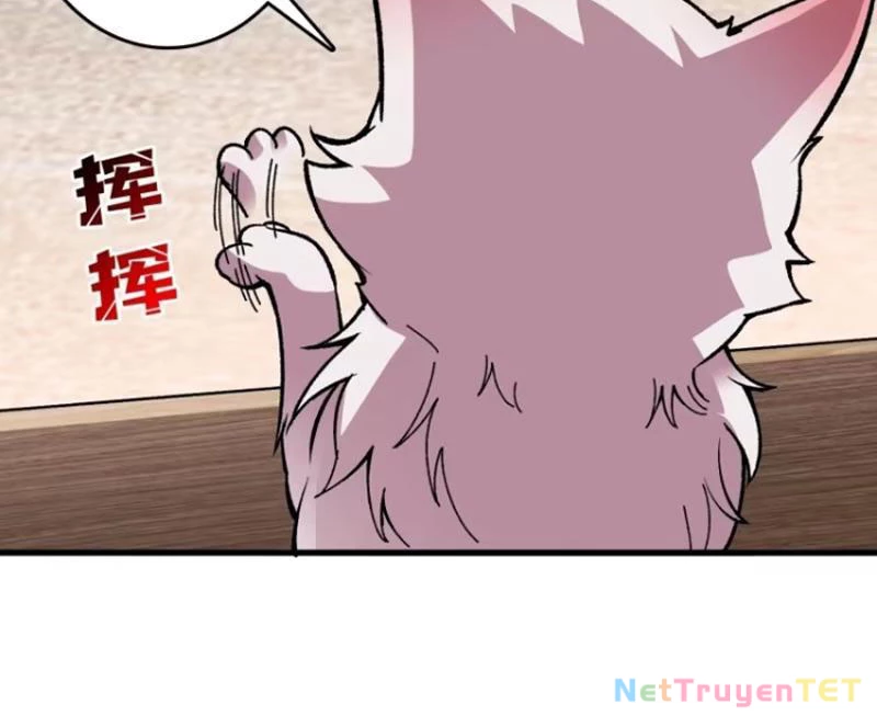 Chuyển Nghề Vô Hạn: Ta Có Thể Triệu Hồi Nữ Thần Max Cấp Chapter 17 - 17