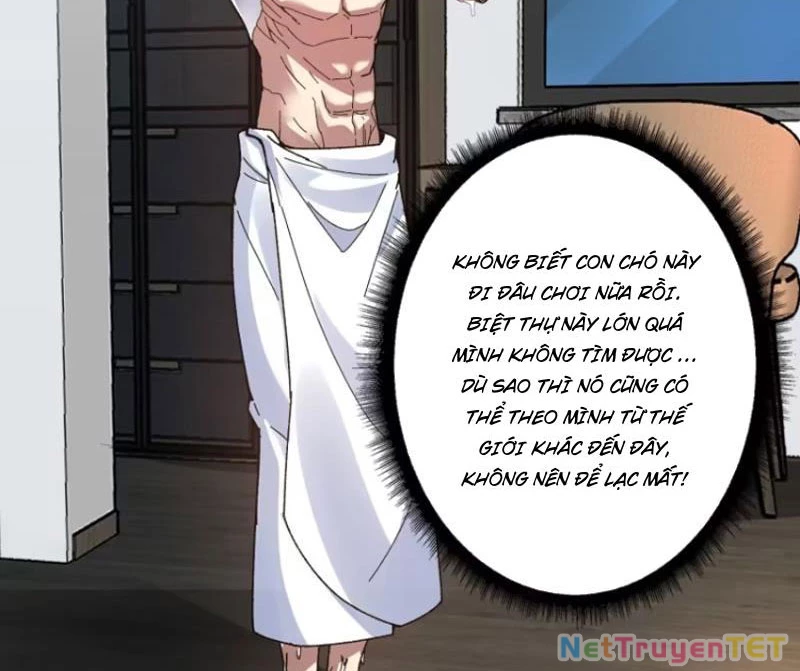 Chuyển Nghề Vô Hạn: Ta Có Thể Triệu Hồi Nữ Thần Max Cấp Chapter 17 - 46