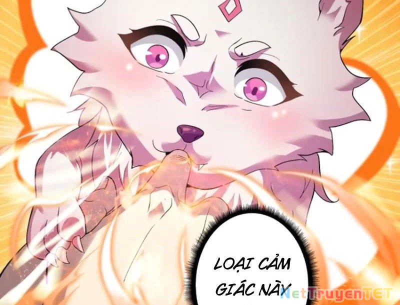 Chuyển Nghề Vô Hạn: Ta Có Thể Triệu Hồi Nữ Thần Max Cấp Chapter 17 - 82